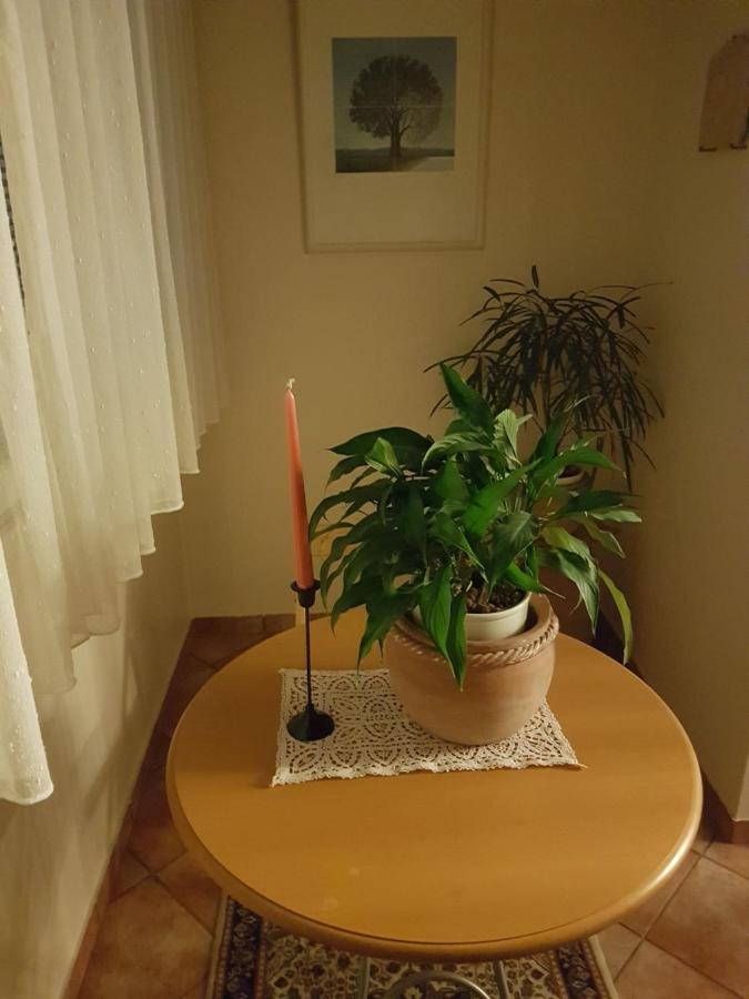 In Zentrumsnähe Beim Hauptbahnhof Apartment *
