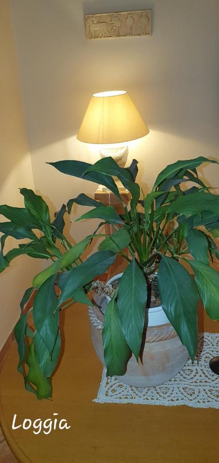 In Zentrumsnähe Beim Hauptbahnhof Apartment