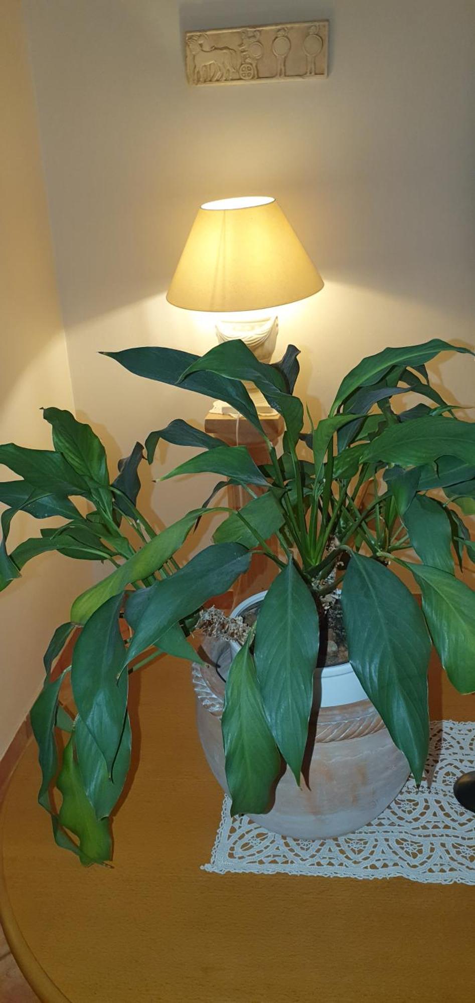 In Zentrumsnähe Beim Hauptbahnhof Apartment Wien